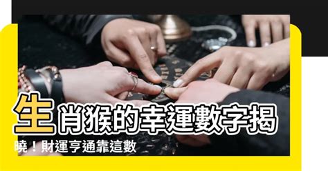 猴子代表數字|肖猴座向及吉祥號碼數字